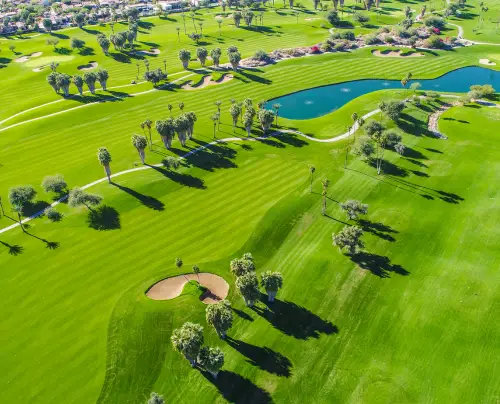 Max-Creative-500-x-404-px