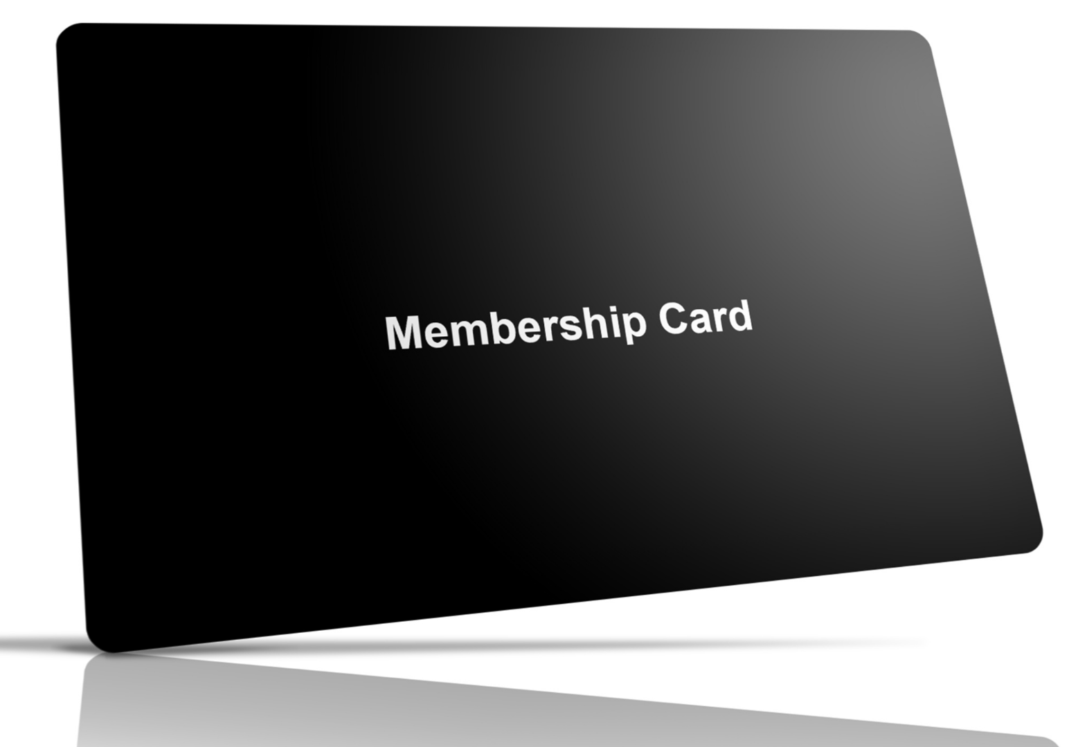 Untitled design (82)